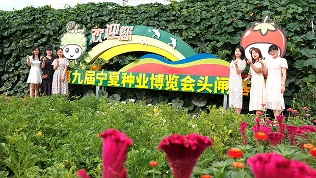 image007.png image007.png