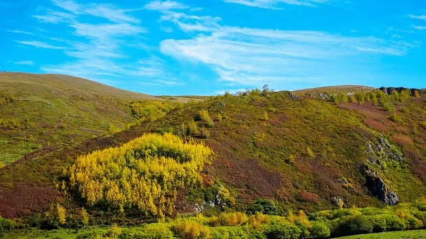 微信图片_20241010090027 (2).jpg 微信图片_20241010090027 (2).jpg